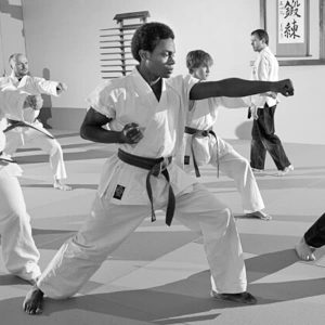 atemi meridian shoshin ryu martial arts kids adults