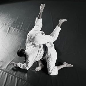 newaza martial arts shoshin ryu meridian idaho grappling self defense
