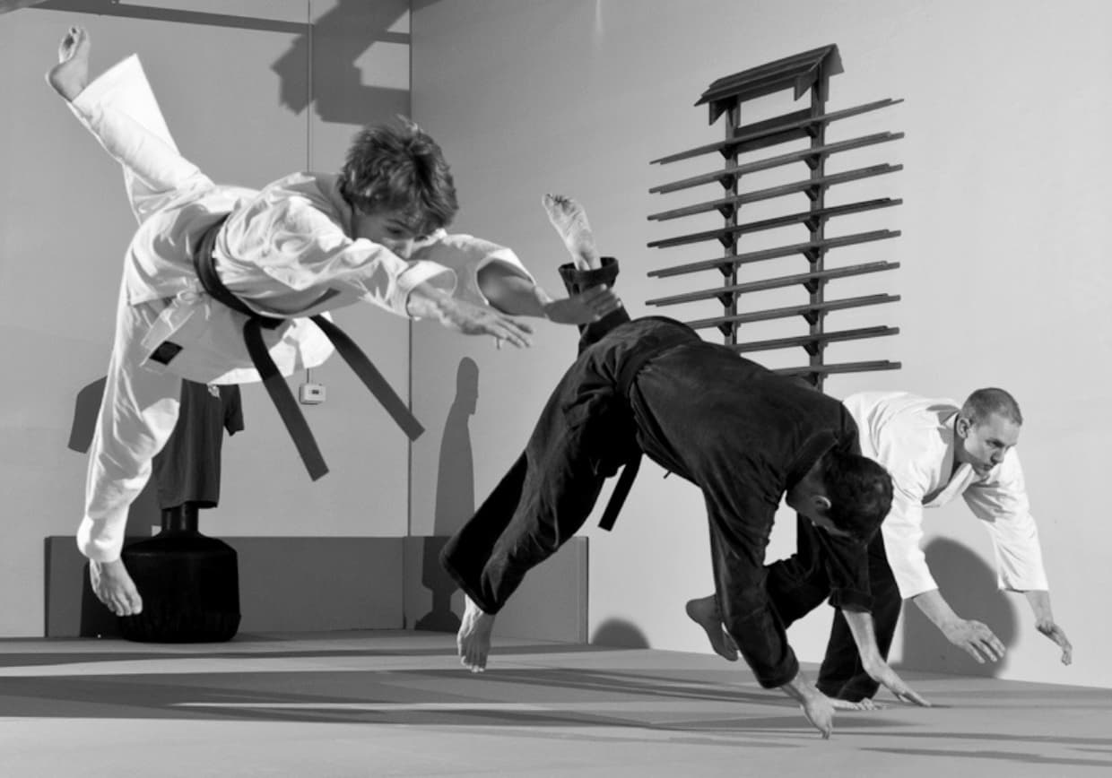 shoshin ryu martial arts meridian idaho children's class
